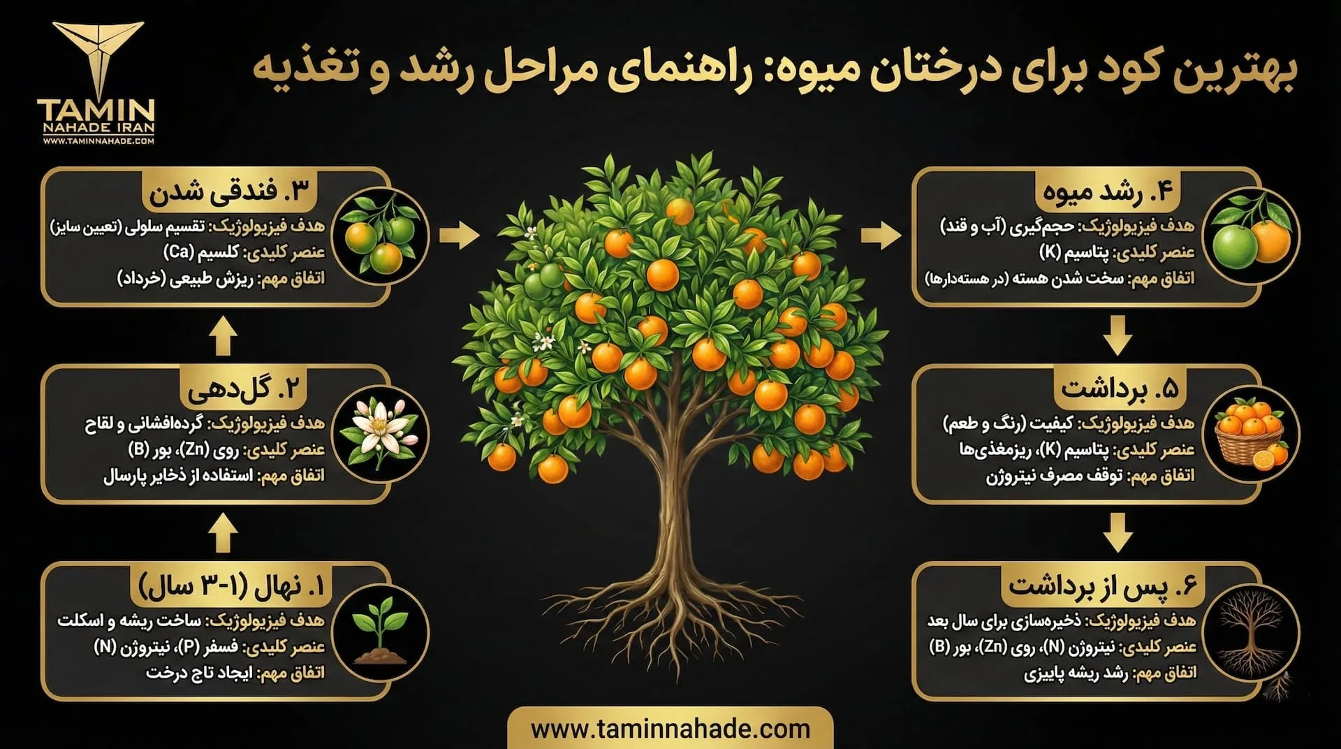 اینفوگرافیک بهترین کود برای درختان میوه