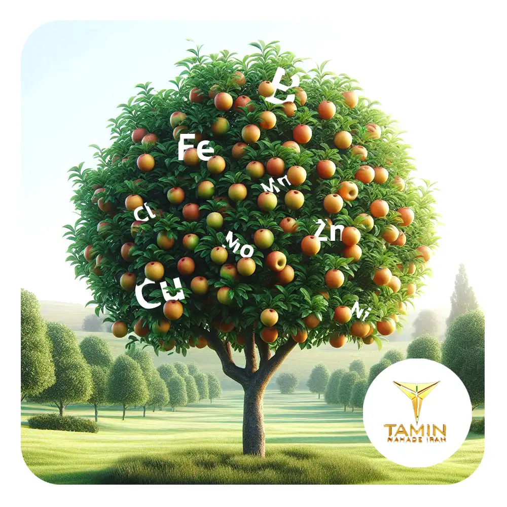 کود فروت ست