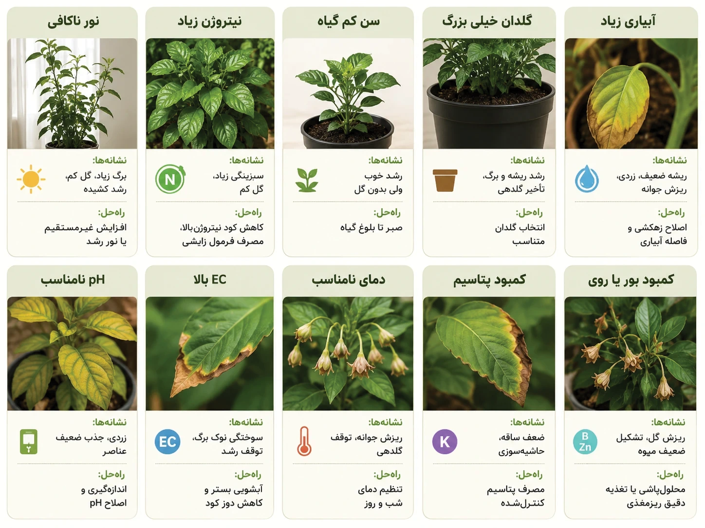 علل گل ندادن گیاه و راهکارهای آن