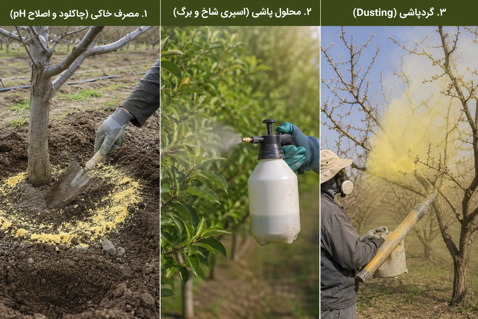 نحوه مصرف گوگرد پودری برای درختان