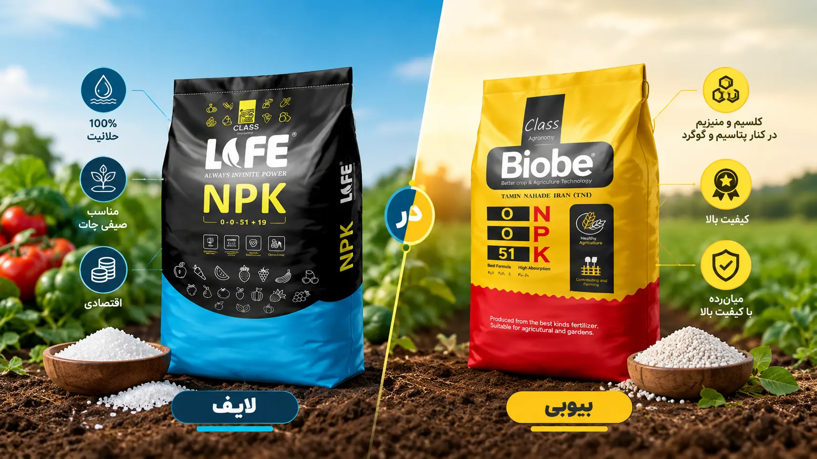 مقایسه برند بیوبی و لایف کود سولو پتاس