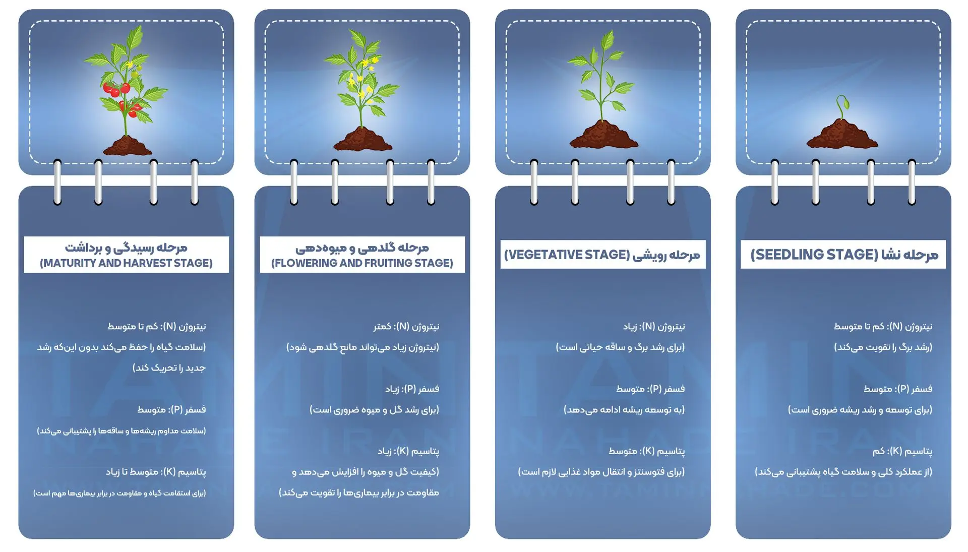 اینفوگرافیک تاثیر NPK بر روی گیاهان